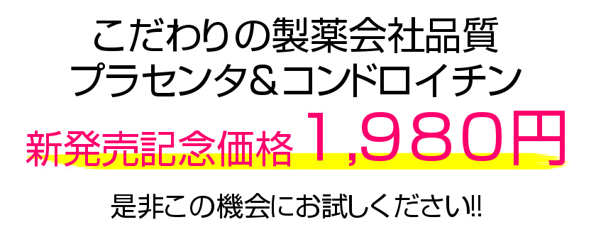 新発売記念価格1980円